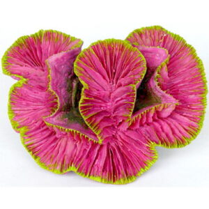 Betta Pink Rose Coral is a colourful resin ornament which is great for freshwater and marine aquariums. When this is combined with other coral ornaments, it will help brighten up any aquarium. Approximate dimensions 10cm (w) x 5cm (h) x 8cm (d).