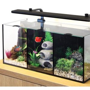 Create a Betta world with these stylish little tanks purpose designed to accommodate Bettas or water creatures with similar requirements such as Shrimp or Dwarf Gourami. As long as the water parameters and temperature requirements are compatible you can keep up to 3 different species separately in the Trio. Design the aqua-scape differently in each compartment and enjoy the scenery of up to 3 different aqua worlds in one tank. Kit Contains - Aquarium with cover glass LED Light Filter Heater