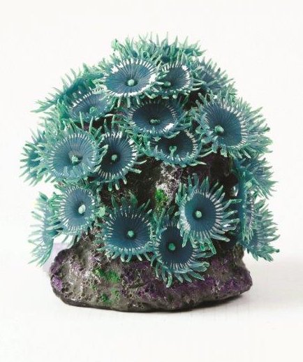 Natureform Button Polyp - 9753 - Paraquatics