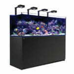 Red Sea XXL REEFER™ Systems Rimless Reef Ready Systems for advanced hobbyists REEFER™ Concept Red Sea’s REEFER™ series of Reef Systems, provide advanced hobbyists with a solid foundation for building a fully featured reef or marine aquarium. The REEFER™ series combines a contemporary, rimless, ultra-clear glass aquarium with a stylish cabinet and a comprehensive water management system, including a professional sump with integrated automatic top-up, and Red Sea’s unique silent down-flow system. Incorporating technologies originally developed for Red Sea’s all-in-one MAX® coral reef systems, the REEFER™ series is designed for ease of operation while enabling the advanced hobbyist to install an unlimited choice of lighting, filtration, circulation and controllers to create a uniquely customized system. Features of the Red Sea XXL REEFER™ include: Rimless, ultra-clear, bevelled edge glass aquarium Elegant marine-spec cabinet Professional sump with constant height skimmer chamber and micron filter bags Silent, regulated down-flow system with emergency overflow Integrated automatic top-up system with reservoir Assembly-ready piping – no gluing required XXL REEFER™ Specification REEFER™ aquariums are constructed from thick, bevelled-edge, ultra-clear glass to support their elegant and modern rimless design. The aquarium sits on a recessed base that “floats” it above the cabinet, which seamlessly follows the contour of the glass. The marine-spec laminated cabinet that houses the sump, (and in the larger models also includes a dedicated, vented space for chillers) is smartly finished with weatherproof, epoxy-painted doors. REEFER™ Water Management System Removable surface-skimming combs surround the top of the centrally located overflow box that houses the downpipe, sump return pipe and the discreet multi-directional “eyeball” return outlet nozzle.   In the event of a blockage in the regulated downpipe, an additional emergency overflow pipe provides an unrestricted free flow of aquarium water directly to the sump. On entering the sump the water passes through a 200 micron mechanical filter bag, before entering the filtration compartment that maintains a constant water height, making it suitable for all skimmers and other reactors. In order to remove any air bubbles that may have escaped from the skimmer, the water passes through a bubble-stripping cascade on its way to the return pump chamber. To ensure a constant water level in the pump compartment, all XXL REEFER™ sumps include an integrated automatic freshwater top-up unit,  guaranteeing a constant, stable water flow throughout the complete system.
