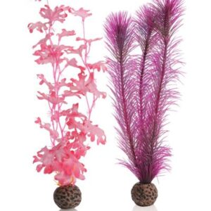 Biorb Pink Kelp Pack of Two Plants