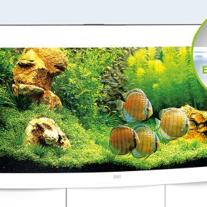 With its curved front panel, the VISION 260 LED is an expression of elegance and masterfully sets the stage for the living image of an aquarium. At 121 cm wide, the VISION 260 LED offers you a lot of room for creativity. The safety base frame ensures especially safe positioning and allows you to set up your aquarium easily, with no need for special supports. Painstaking workmanship from Germany, top-quality materials and perfectly tuned technology guarantee the very best of quality and safety, meaning a long service life for your VISION 260 LED. Choose from Black, White, Dark Wood and Light Wood.