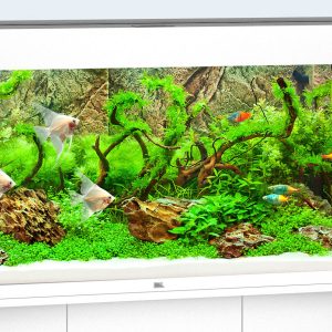 Timeless, elegant design, perfect workmanship and innovative technology – at a width of 120 cm, you can simply enjoy a perfect view. Measuring 121 x 41 cm and with its classic rectangular design, the RIO 240 LED fits into any home without compromising on style. Its safety base frame ensures especially safe positioning and allows you to set up your aquarium easily, with no need for special supports. Painstaking workmanship from Germany, top-quality materials and perfectly tuned technology guarantee the very best of quality and safety, meaning a long service life for your RIO 240 LED Choose from black, dark wood, light wood and white.