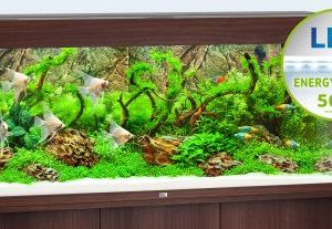 Built in Filtration and Heater For optimum filtering, the RIO 350 LED is fitted with a high-performance Bioflow L. This internal filter combines efficiency with safety and forms the centrepiece of any JUWEL aquarium. It works on the principle that "The water should stay in the aquarium!" and is the safest way of filtering an aquarium. The Bioflow L comes fitted with five high-performance filter media and a quiet yet powerful Eccoflow 1000 circulation pump. The 300 Watt JUWEL adjustable heater, which is perfectly embedded in the water circulation in the Bioflow L filter system, ensures the right temperature in the RIO 350 LED. Because it uses top-quality silver contacts and shock-proof borosilicate glass, JUWEL adjustable heaters meet the highest standards in both function and safety and, as you would expect, are TÜV/GS certified.