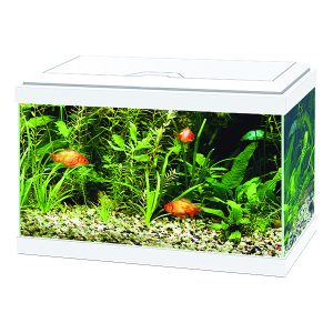 The Ciano Aqua 20s are a small stylish and durable glass aquariums primarily for first time fish keepers. They are available in two colours black and white. These aquariums come with a filter LED light and protective cover.