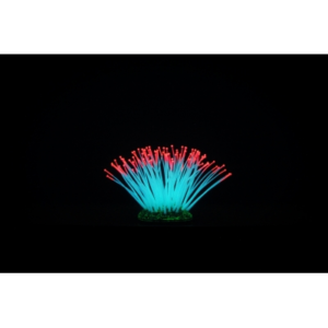 Classic Aqua Lumo Pink Tipped Sea Anemone - Flourescent Brings your tank to life Works best with tank illumination Non-toxic high quality silicon Completely safe for Freshwater Aquariums Attach ornament with suction cup ( included) Size Approx 10 x 8 x 8