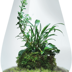 New Gorgeous BioArt 285 Nano Led Garden Experience the beauty of nature in your living room. Discover the world of BioArt, where innovation meets nature, carefully crafted for your home. Dive into the beauty of natural plants and let your creativity run wild by designing your own green oasis. A perfect blend of beauty, nature, and design. Experience the harmonious blend of natural beauty and modern design with our BioArt Nano LED models. Crafted for simplicity and convenience, they are the ideal choice for those seeking a stunning green interior addition without the hassle of extensive maintenance.